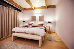 Suite
della Vigna